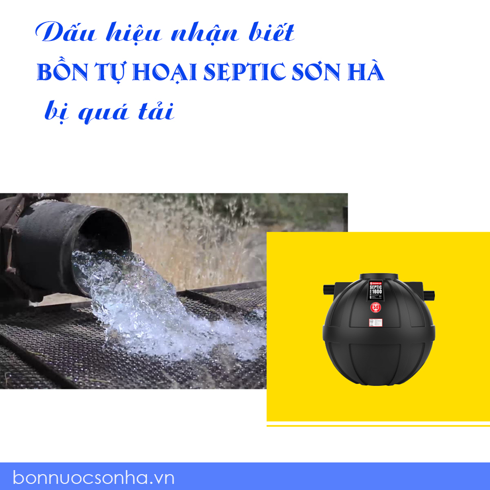 Dấu hiệu nhận biết bồn tự hoại Septic Sơn hà bị quá tải
