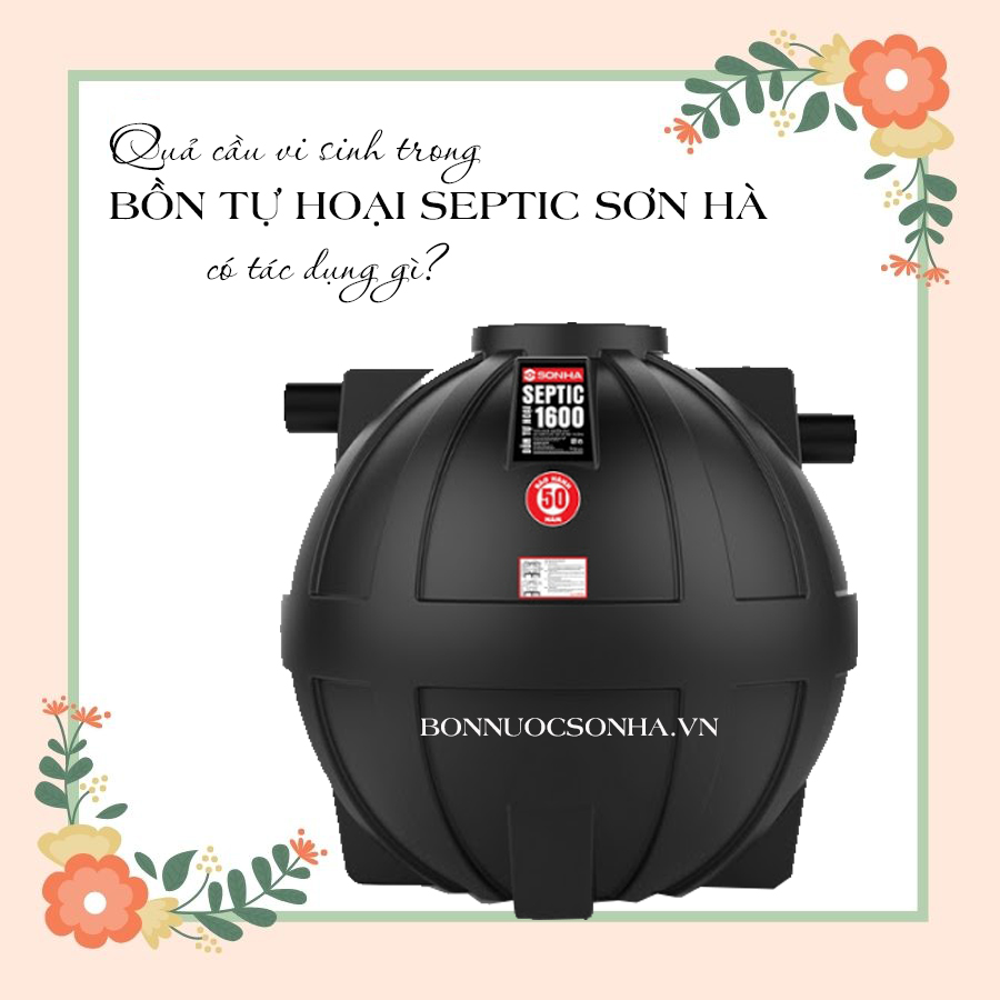 Quả cầu vi sinh trong bồn tự hoại Septic Sơn Hà có tác dụng gì?